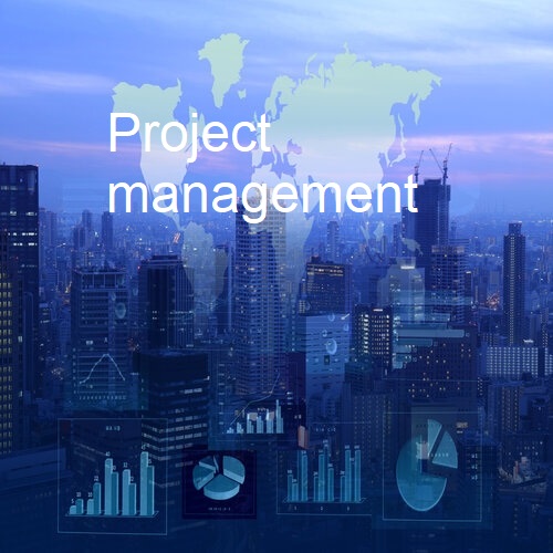 Project Management